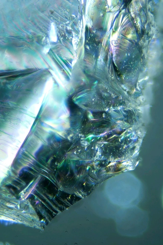 Horea上传的GIF