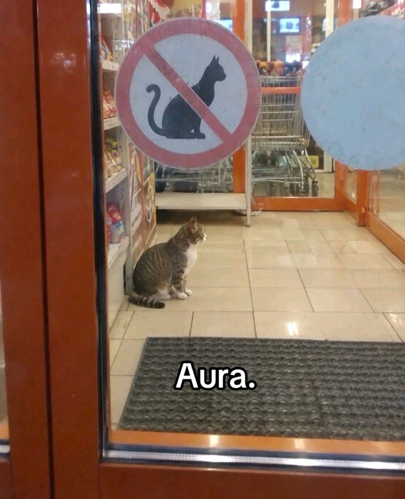 GIF uploaded by Carla
