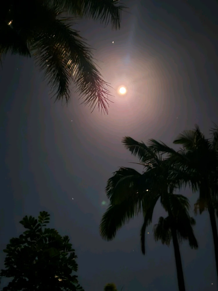 GIF uploaded by Charlee