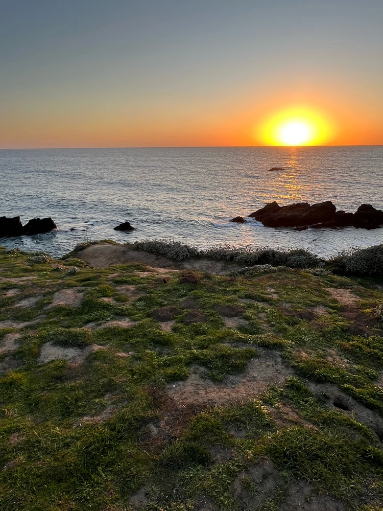 Image uploaded by Jarred