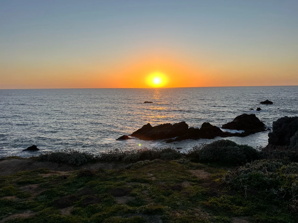 Image uploaded by Jarred