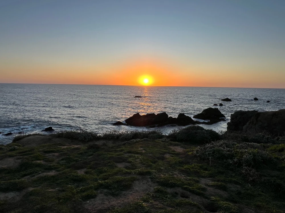 Image uploaded by Jarred