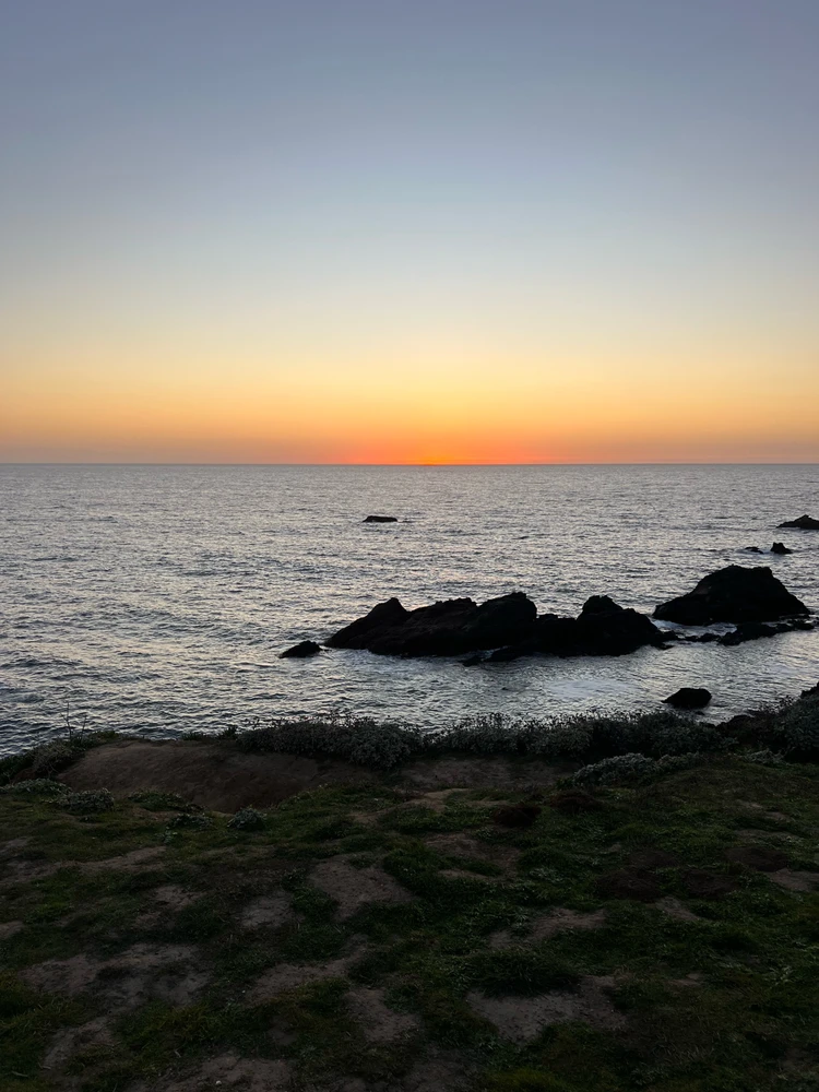 Image uploaded by Jarred