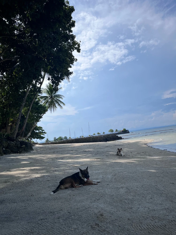 Image uploaded by Shelyte