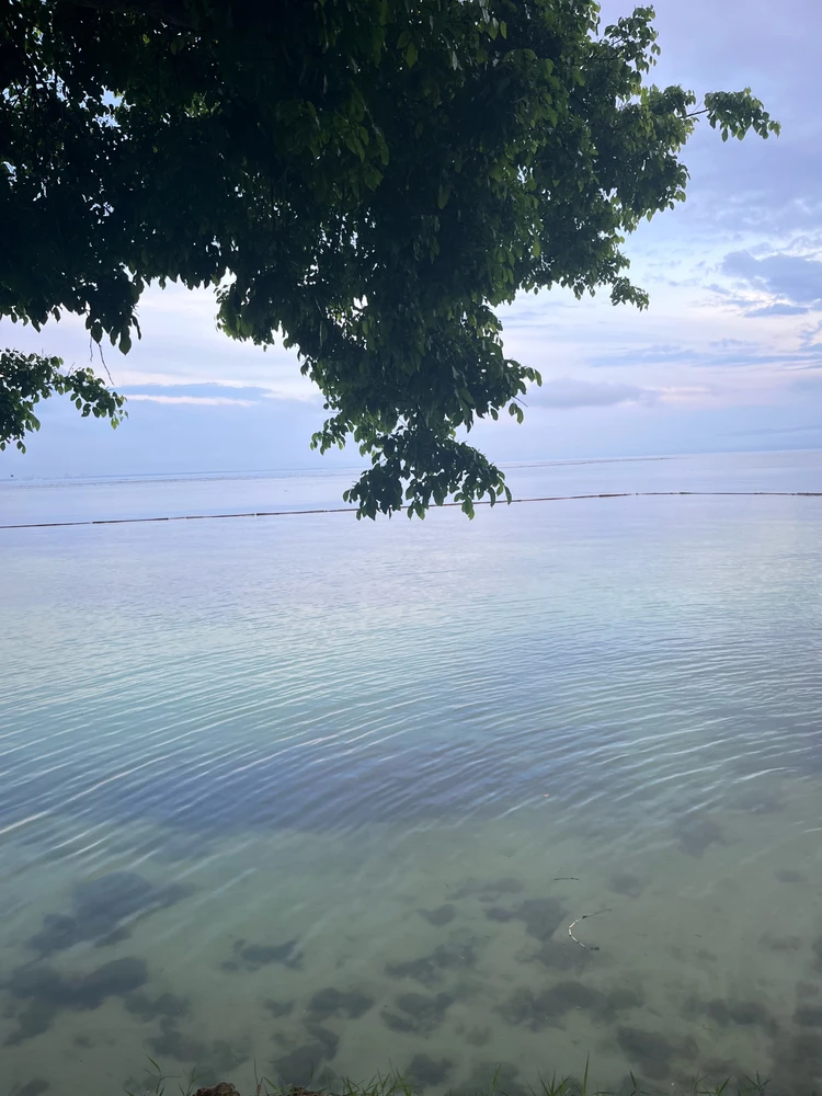 Image uploaded by Shelyte