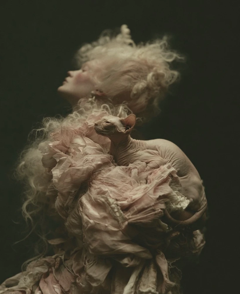 Gambar diunggah oleh Olga