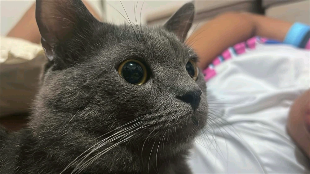 GIF uploaded by Jassy