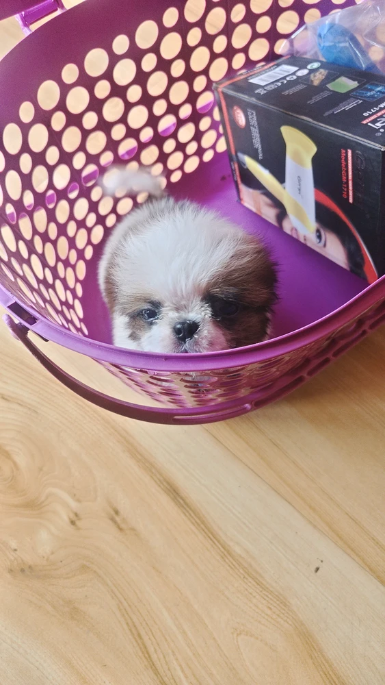 GIF uploaded by Pardhu