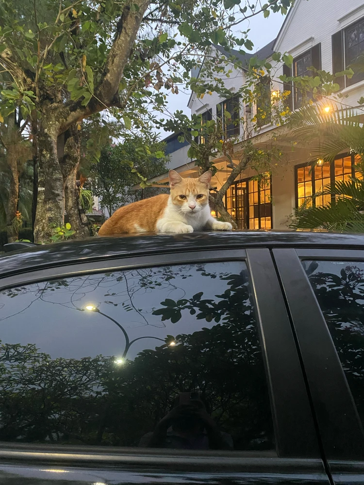 GIF subido por SK