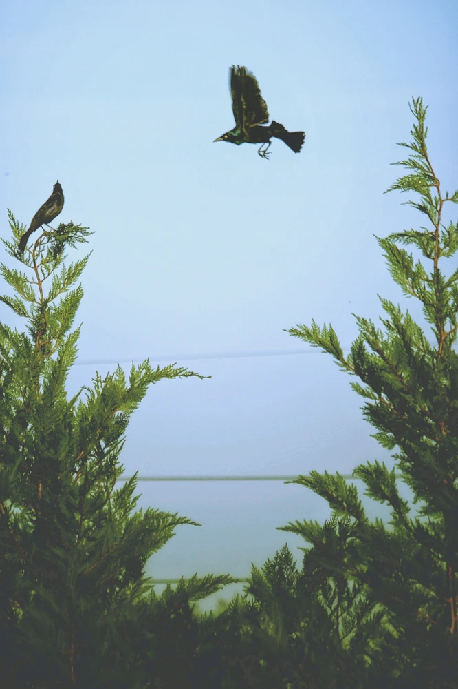 GIF uploaded by Tom