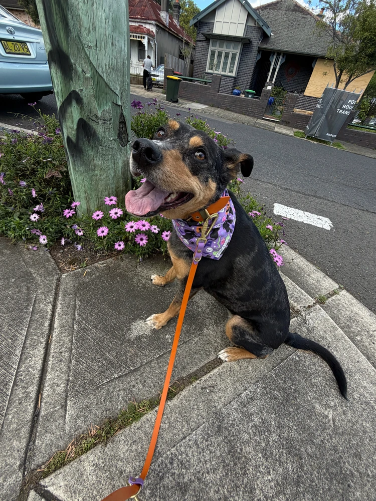 GIF uploaded by kels