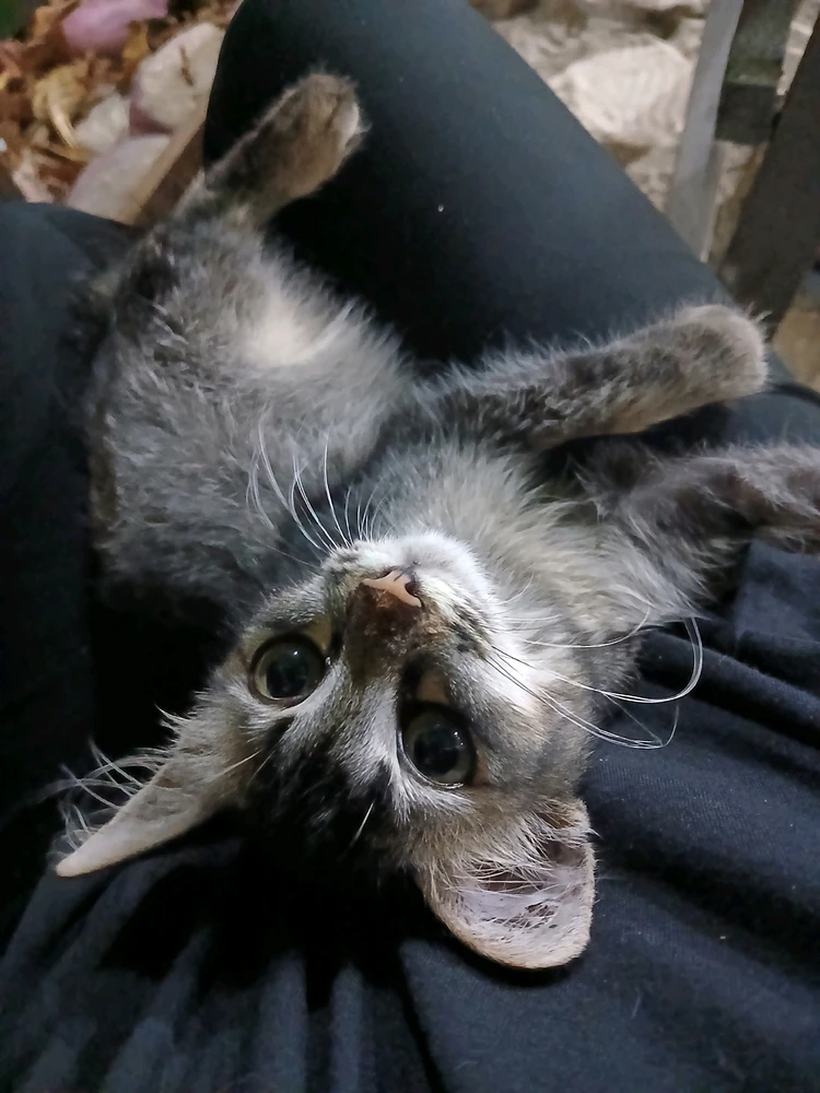 GIF uploaded by Juu