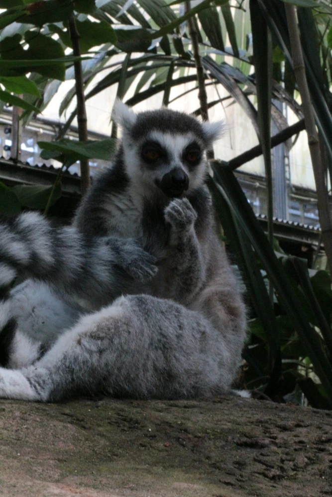 Image uploaded by Linda De Jonge
