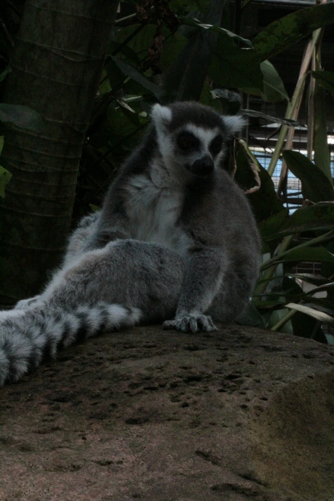 Image uploaded by Linda De Jonge