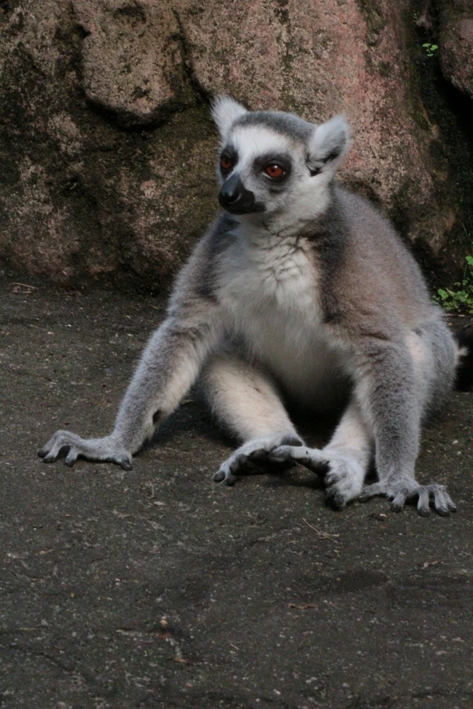 Image uploaded by Linda De Jonge