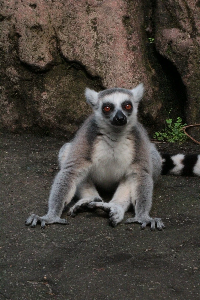 Image uploaded by Linda De Jonge