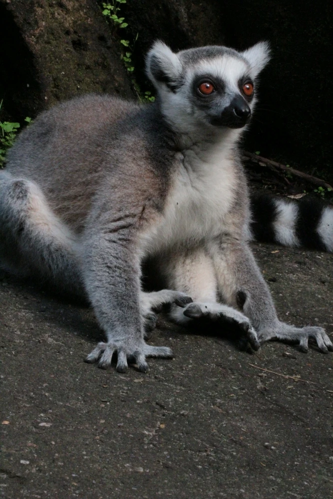Image uploaded by Linda De Jonge