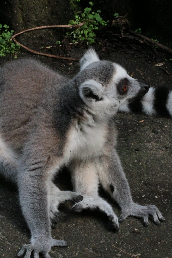 Image uploaded by Linda De Jonge