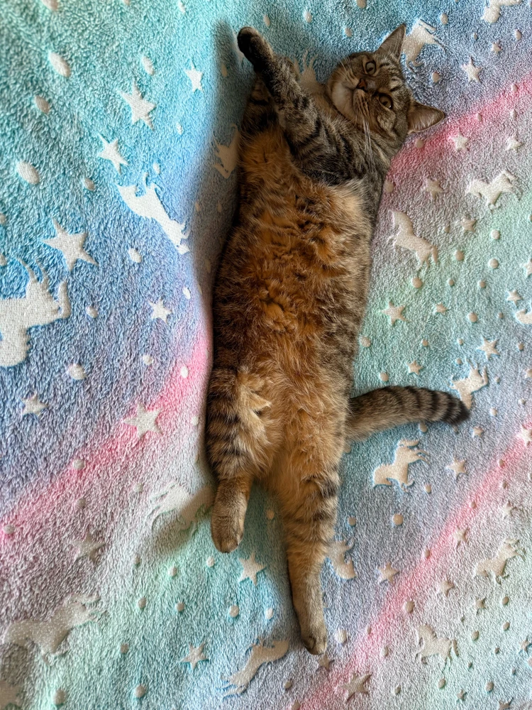 GIF subido por Margaret