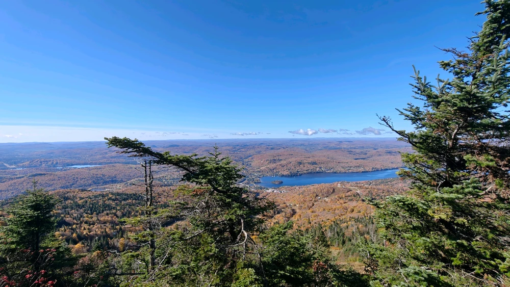 Image uploaded by Noah