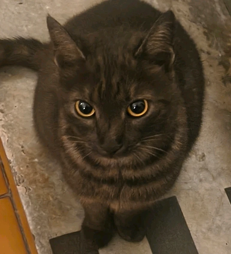 GIF uploaded by Sascha