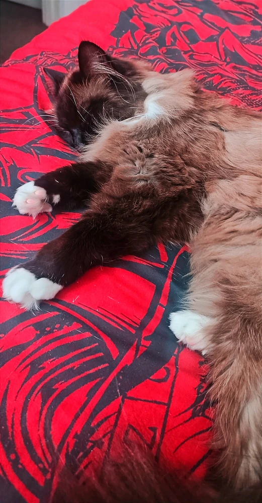 Sliko je naložil Andy(bearded ginger)