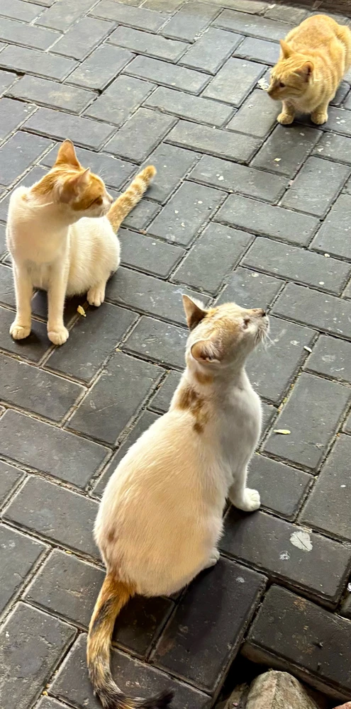 Sliko je naložil Sunshine ☀️