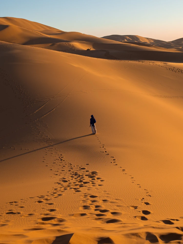 Sahara Desert