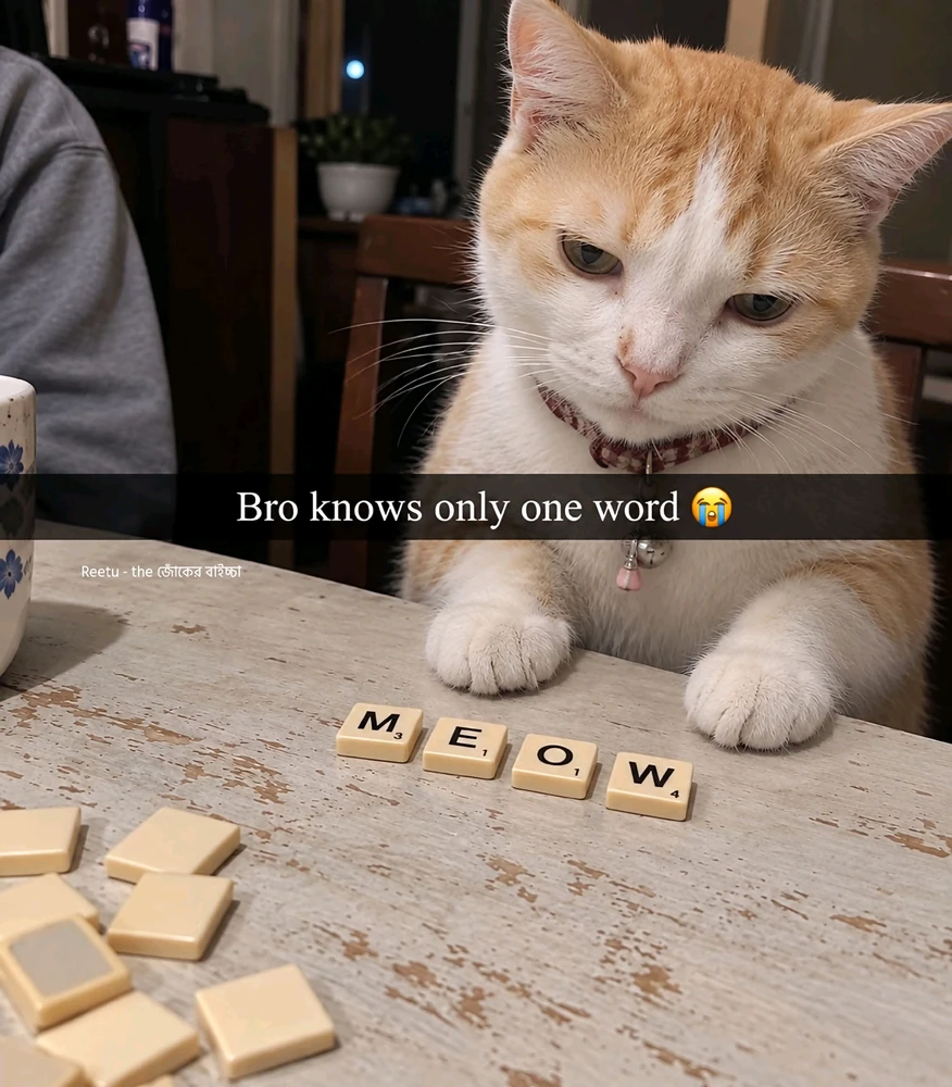 GIF naložil Bubu