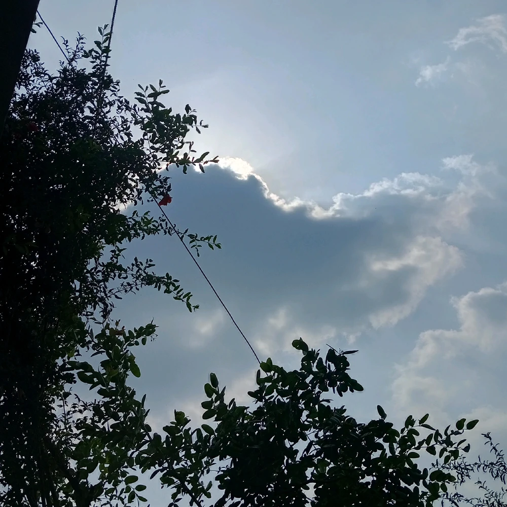 GIF uploaded by Nick