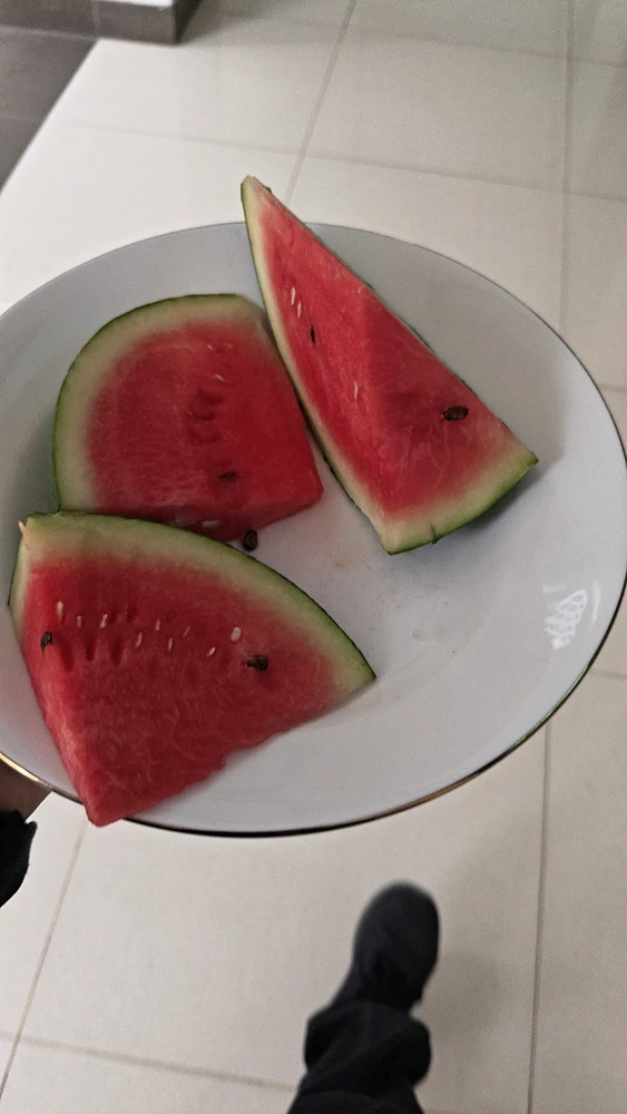 GIF ανέβηκε από Hikmah