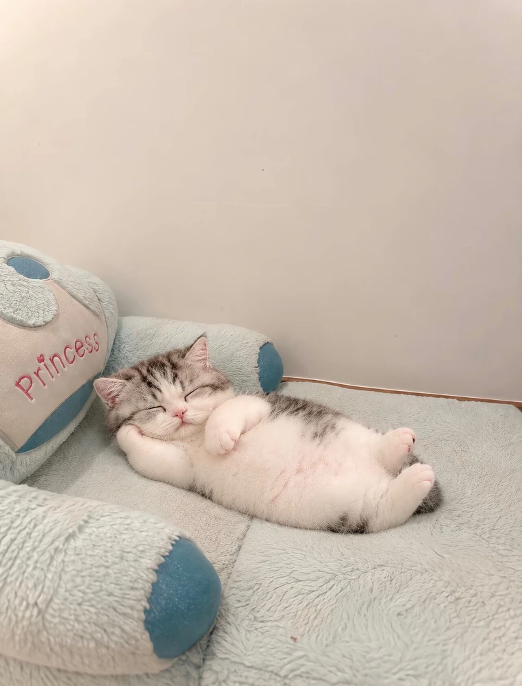 GIF naložil 晓瑞