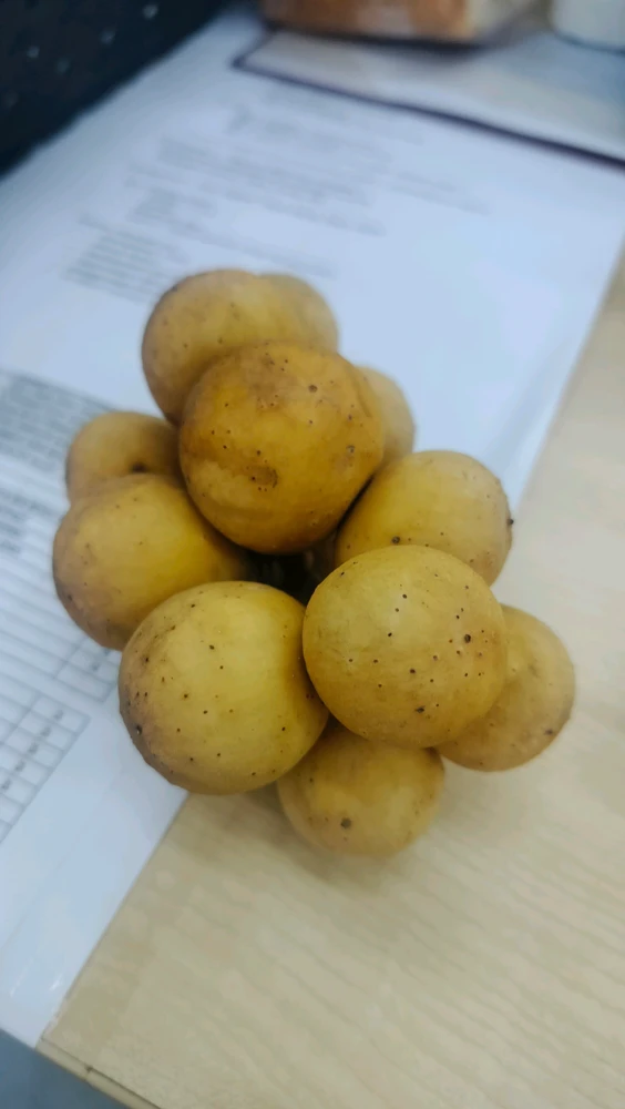 GIF tí Vb gbé sókè