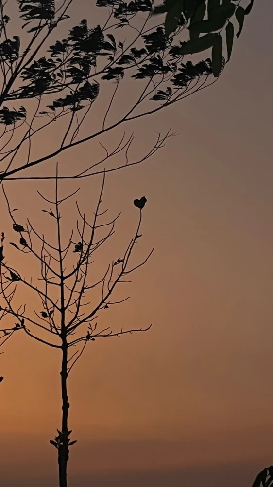 GIF uploaded by Layla Arissa