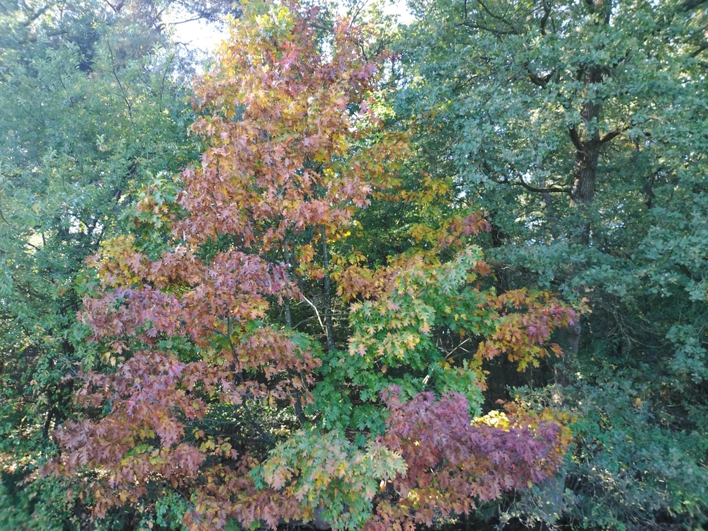 GIF uploaded by Stijn