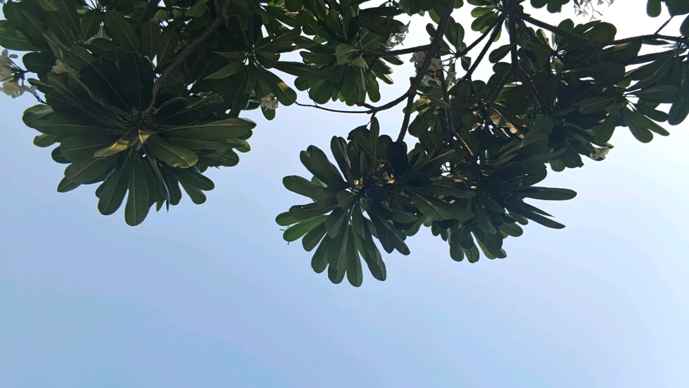 GIF uploaded by Faraah