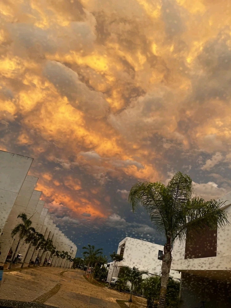 GIF uploaded by ❤ Sophia aka Mango Mami ❤️