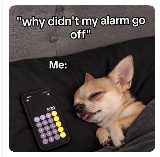 GIF uploaded by Mai