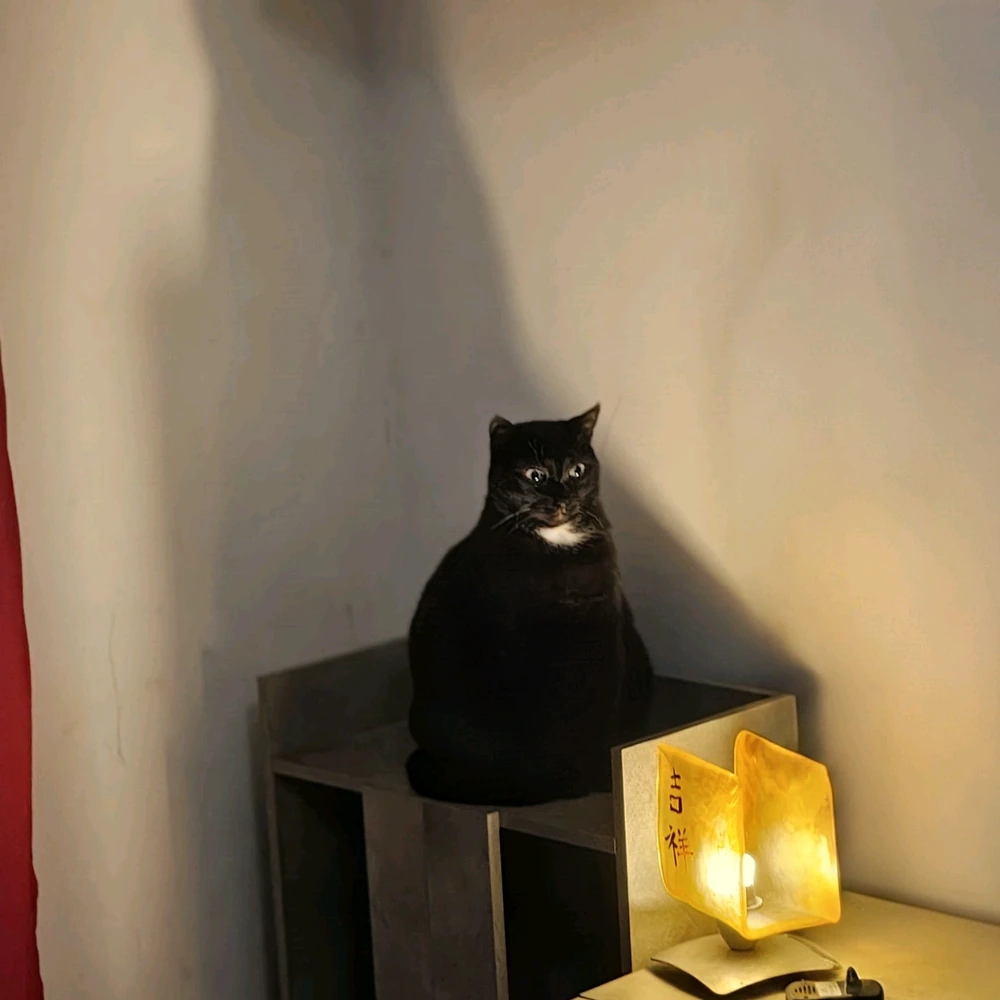 GIF uploaded by Alis