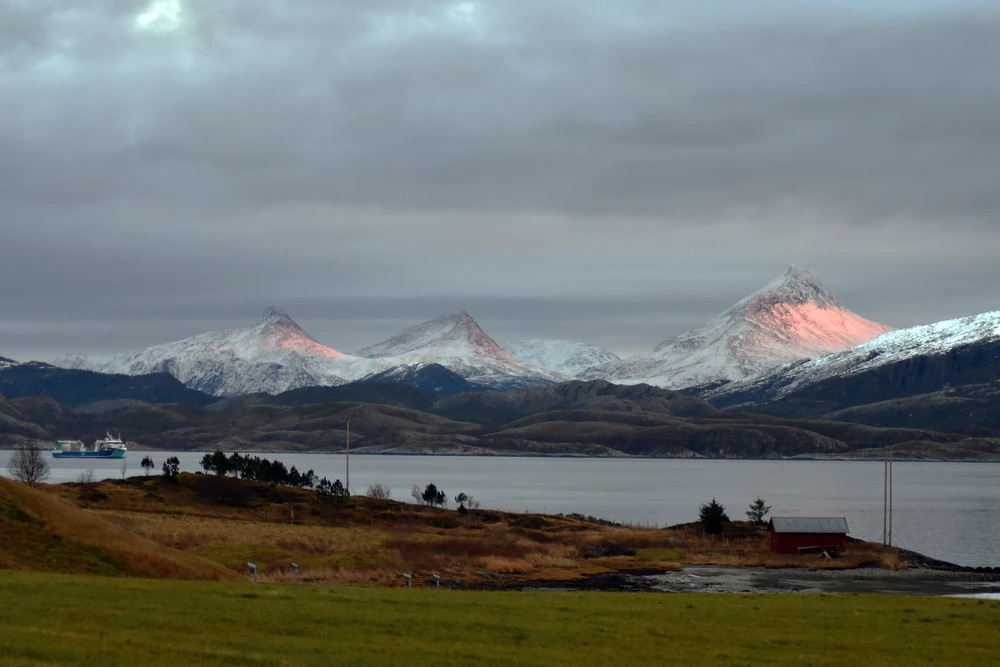 Image uploaded by Morten
