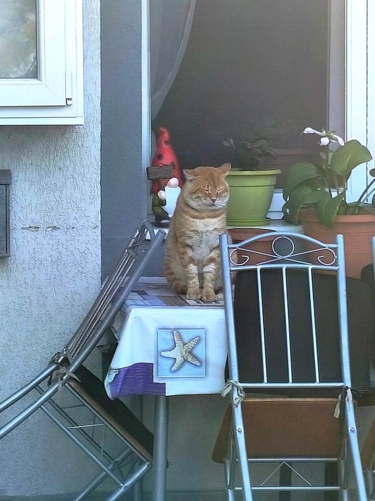 GIF uploaded by SparkInTheSky