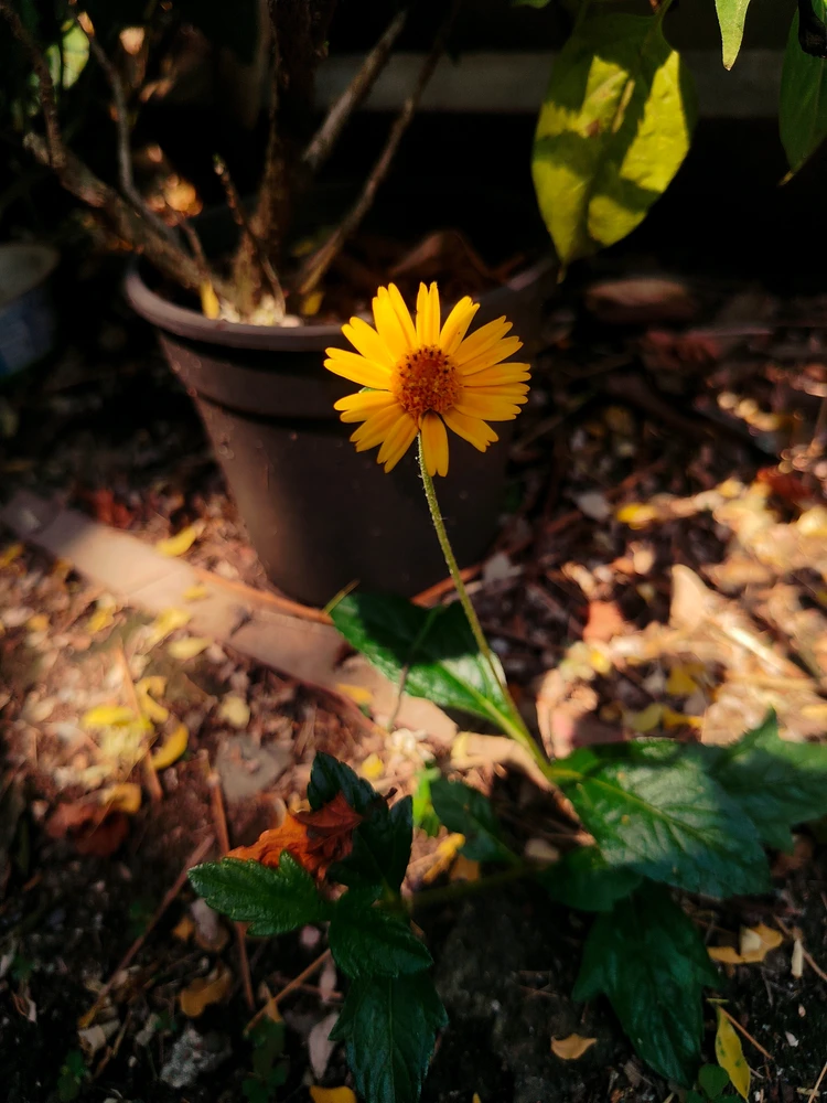 GIF uploaded by sebastian