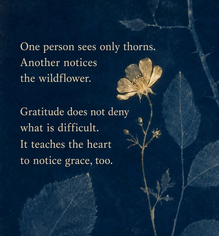 GIF uploaded by Mieke