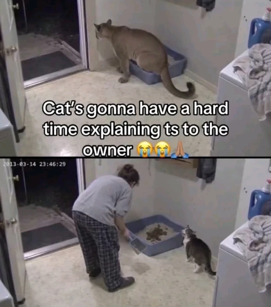 GIF uploaded by Elina
