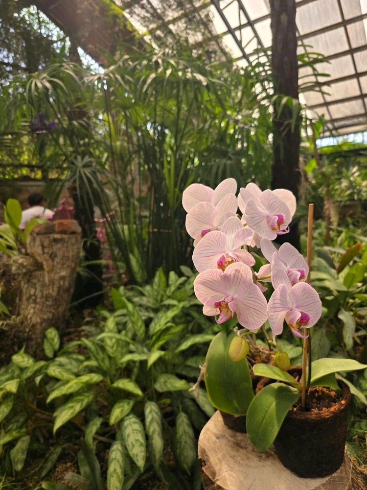 GIF uploaded by CiCi