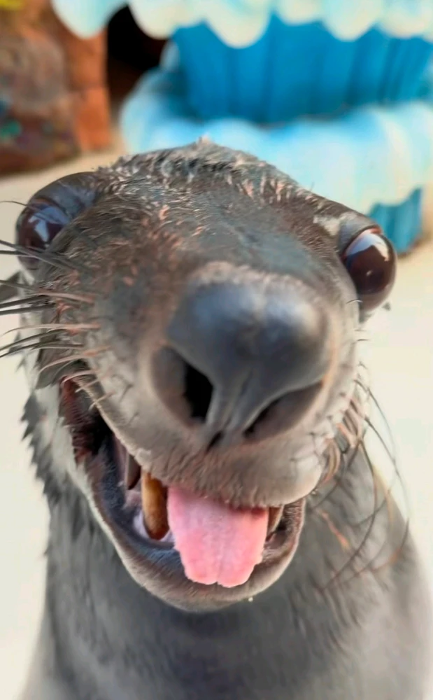 GIF uploaded by Shean