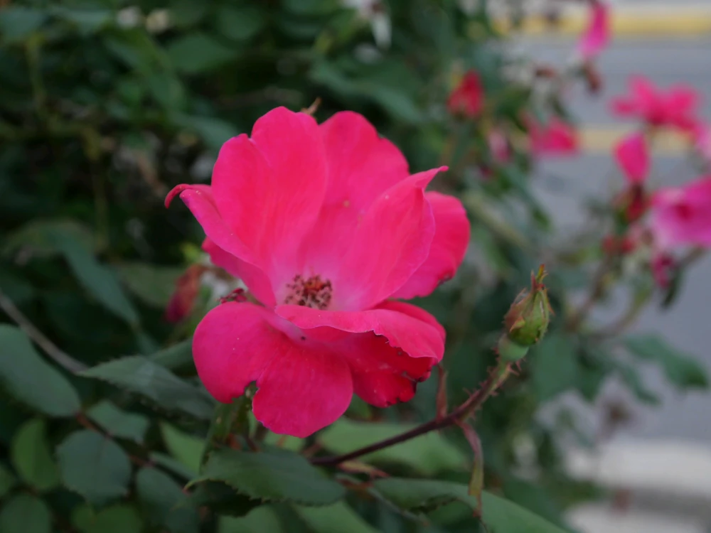 GIF uploaded by Theron