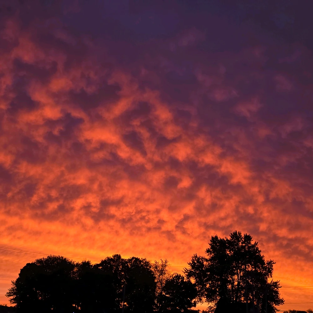 GIF uploaded by Theron