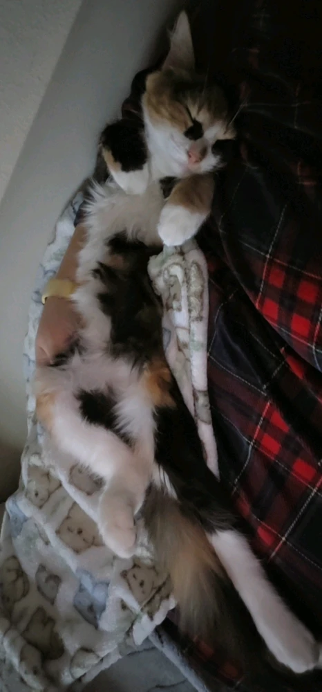 GIF uploaded by Emma