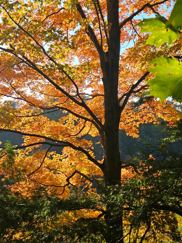 Image uploaded by Alvin